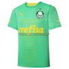 Original Fußballtrikot Palmeiras Ausweichtrikot 2022-23 Für Herren